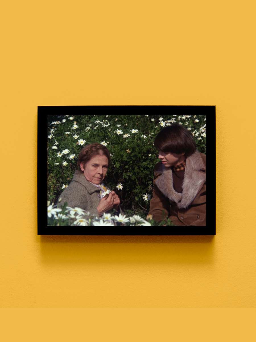 Harold ve Maude - Harold and Maude Film Tablo Siyah Çerçeveli Film Poster Afiş Tablo