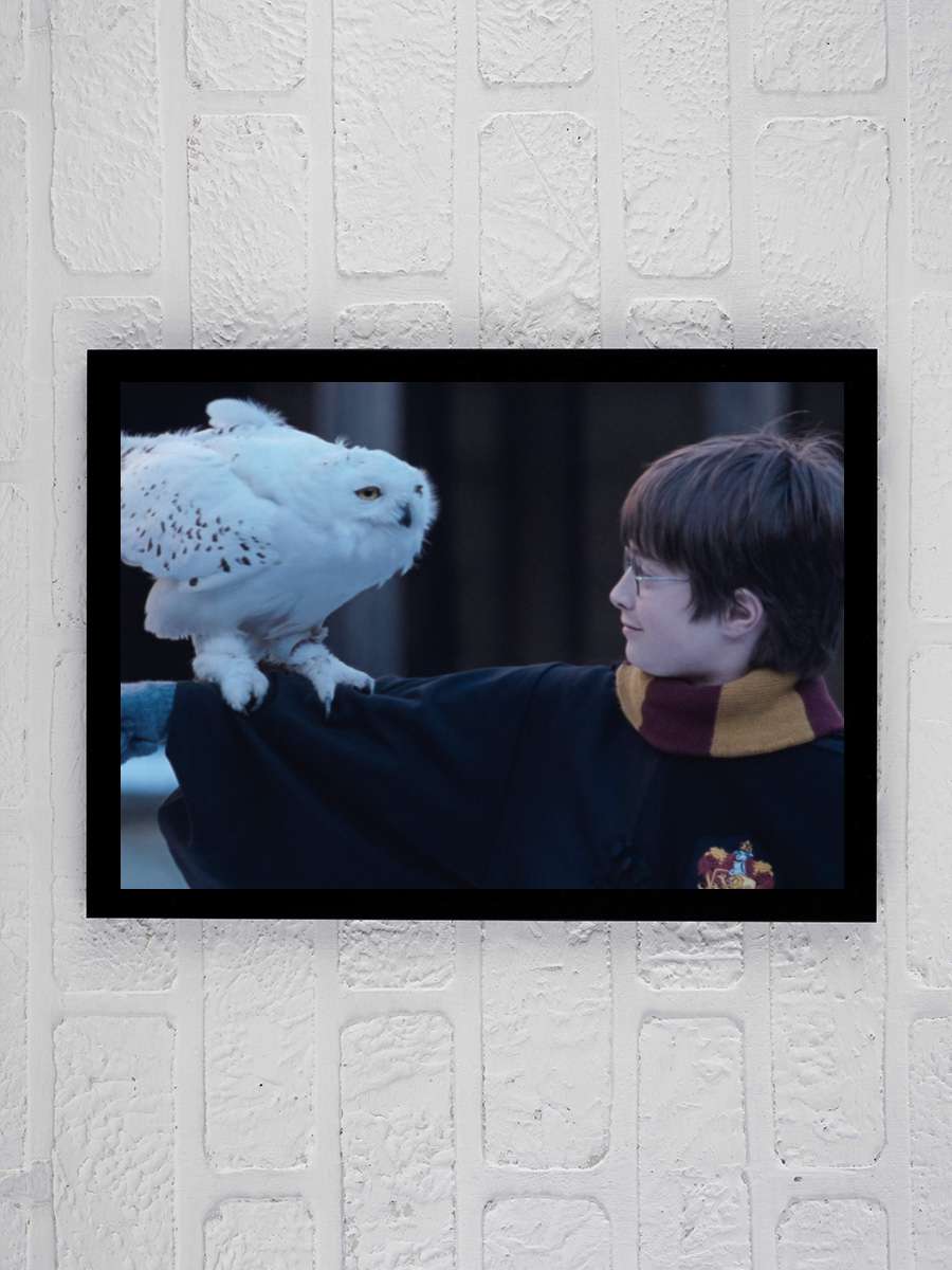 Harry Potter ve Felsefe Taşı - Harry Potter and the Philosopher's Stone Film Tablo Siyah Çerçeveli Film Poster Afiş Tablo