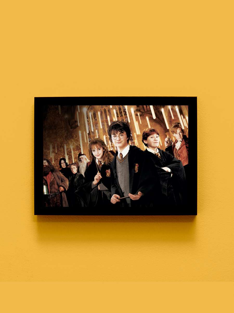 Harry Potter ve Sırlar Odası - Harry Potter and the Chamber of Secrets Film Tablo Siyah Çerçeveli Film Poster Afiş Tablo