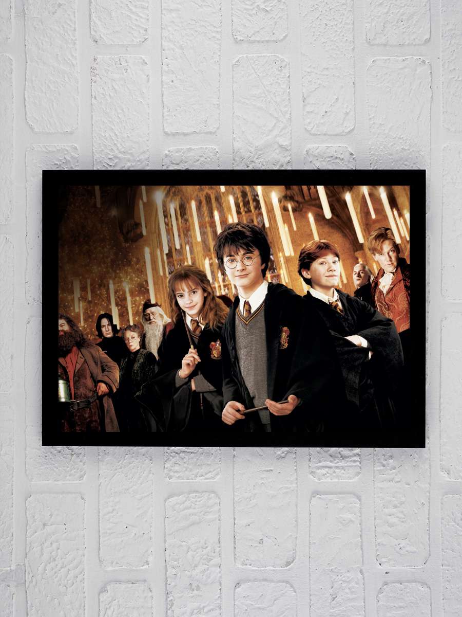 Harry Potter ve Sırlar Odası - Harry Potter and the Chamber of Secrets Film Tablo Siyah Çerçeveli Film Poster Afiş Tablo