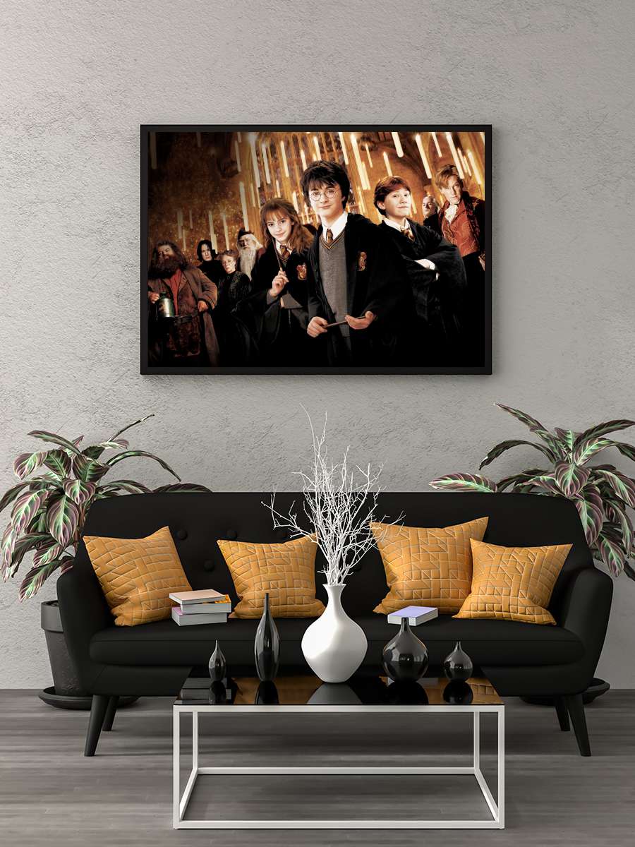 Harry Potter ve Sırlar Odası - Harry Potter and the Chamber of Secrets Film Tablo Siyah Çerçeveli Film Poster Afiş Tablo