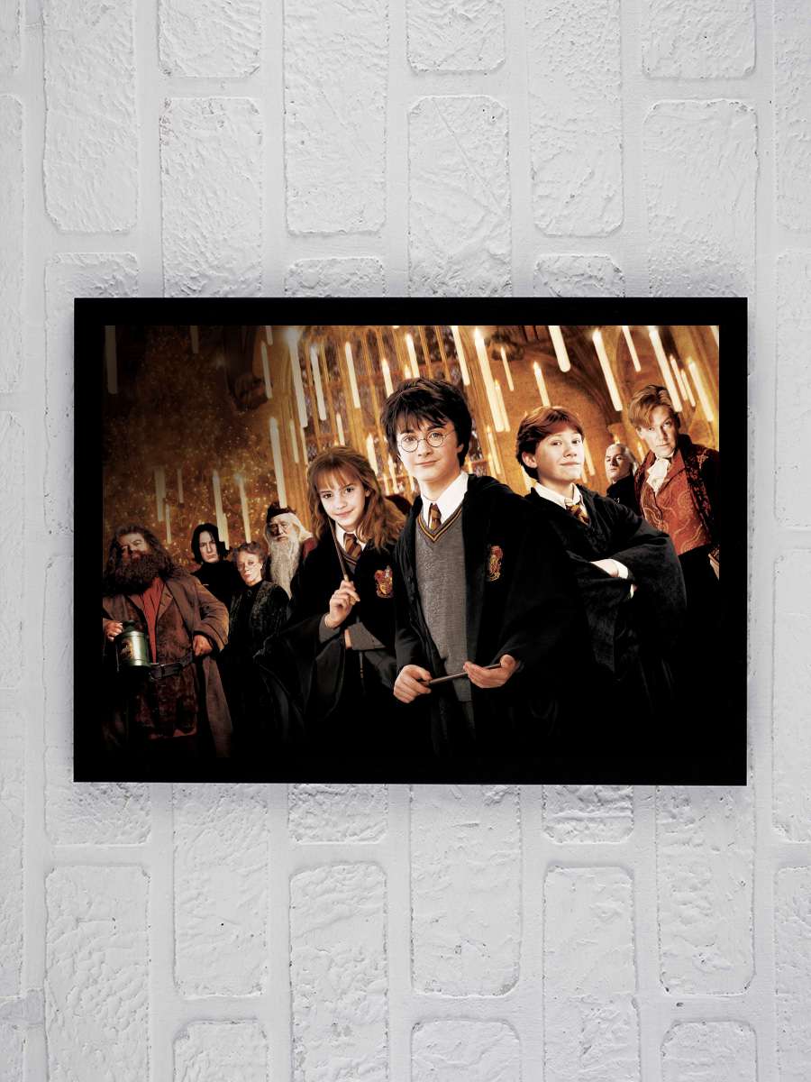 Harry Potter ve Sırlar Odası - Harry Potter and the Chamber of Secrets Film Tablo Siyah Çerçeveli Film Poster Afiş Tablo