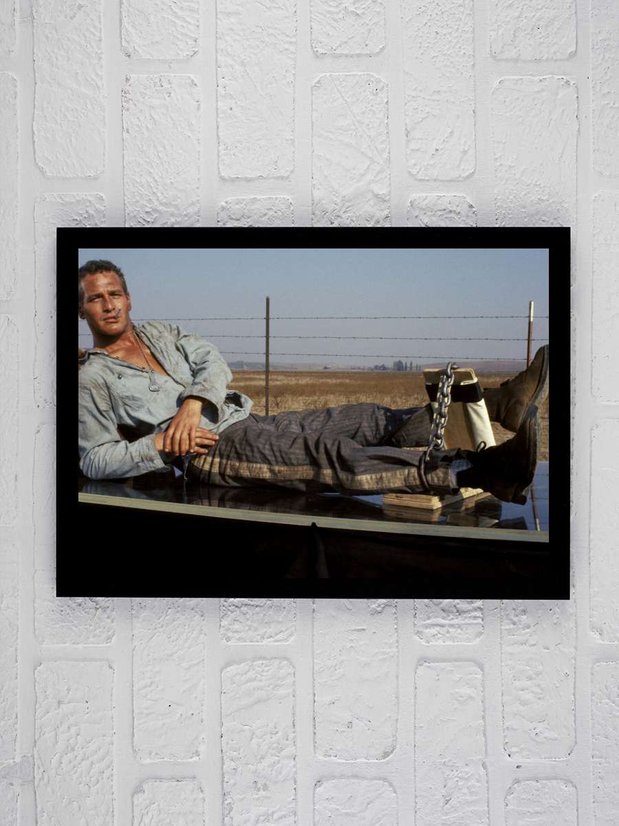 Parmaklıklar Arasında - Cool Hand Luke Film Tablo Siyah Çerçeveli Film Poster Afiş Tablo