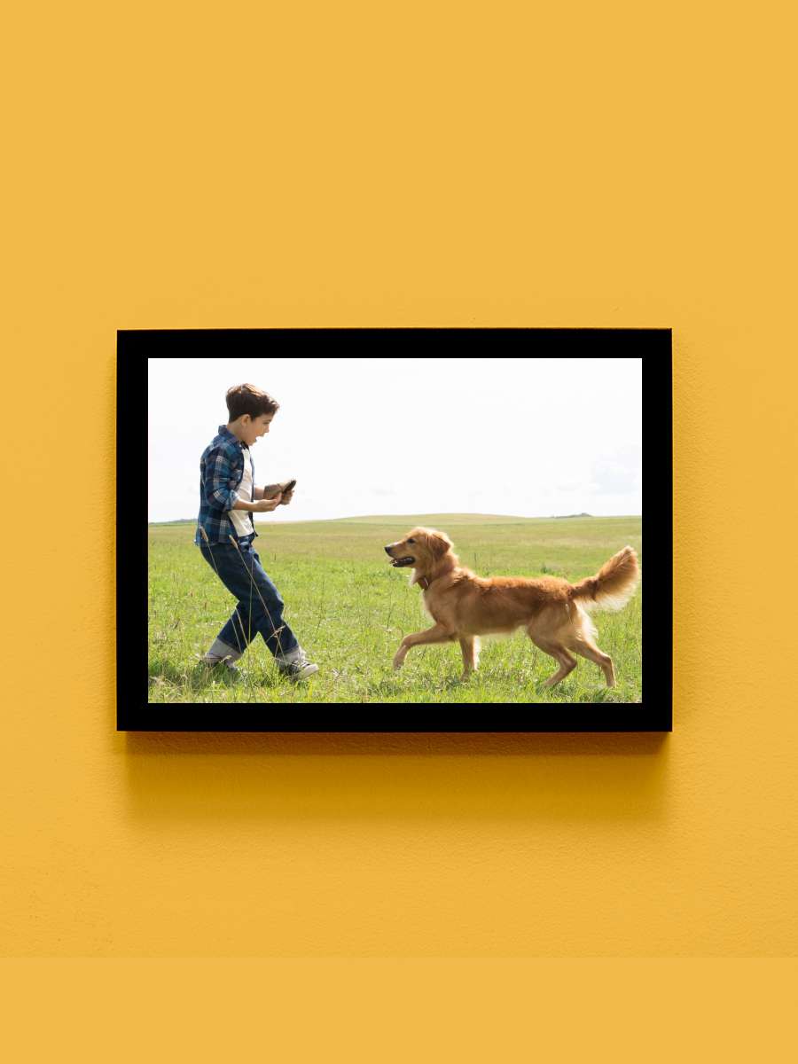 Can Dostum - A Dog's Purpose Film Tablo Siyah Çerçeveli Film Poster Afiş Tablo