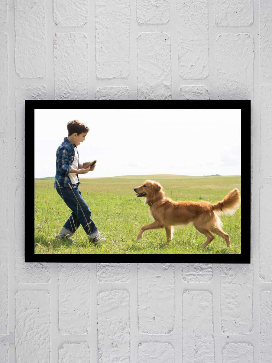 Can Dostum - A Dog's Purpose Film Tablo Siyah Çerçeveli Film Poster Afiş Tablo