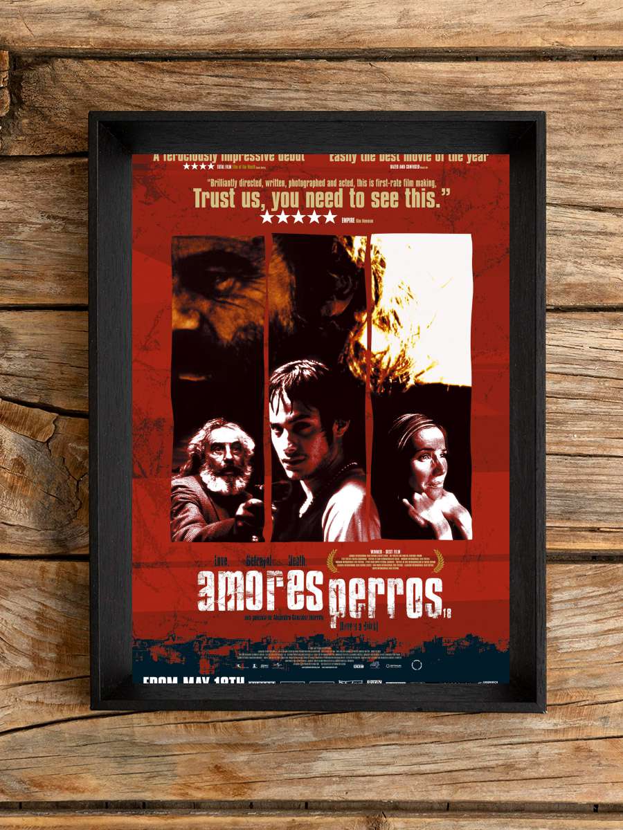 Paramparça Aşklar Köpekler - Amores perros Film Tablo Siyah Çerçeveli Film Poster Afiş Tablo