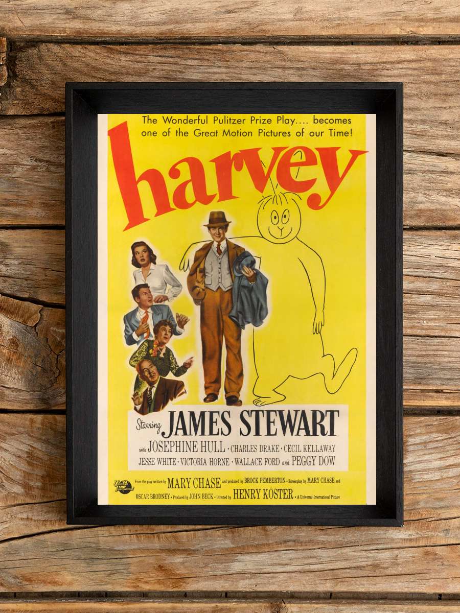 Harvey Film Tablo Siyah Çerçeveli Film Poster Afiş Tablo