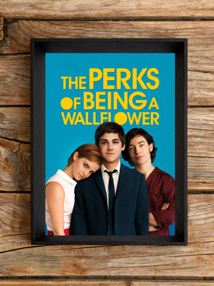 Saksı Olmanın Faydaları - The Perks of Being a Wallflower Film Tablo Siyah Çerçeveli Film Poster Afiş Tablo