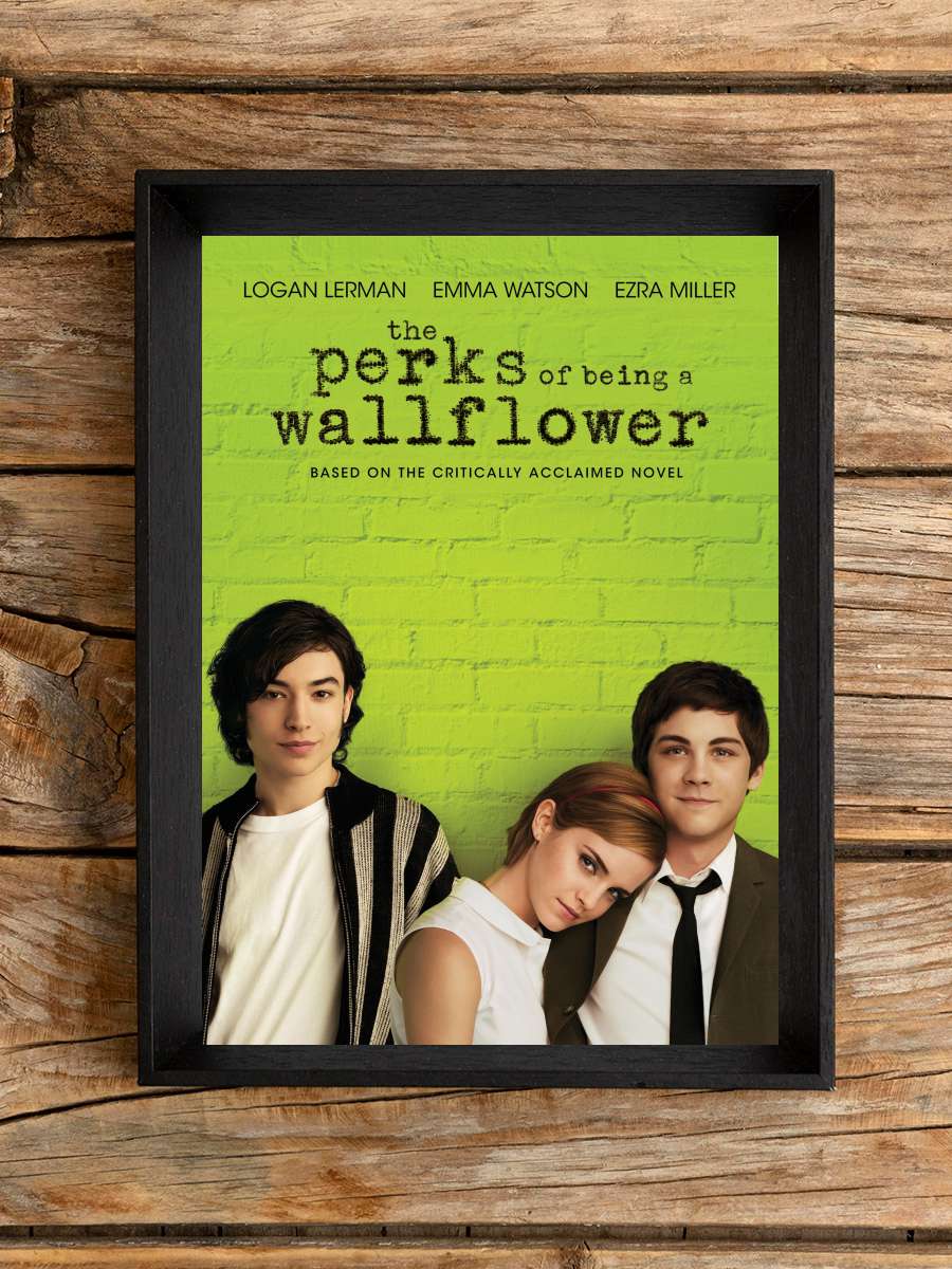 Saksı Olmanın Faydaları - The Perks of Being a Wallflower Film Tablo Siyah Çerçeveli Film Poster Afiş Tablo