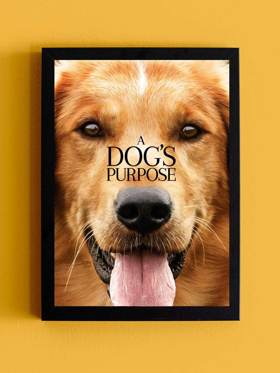 Can Dostum - A Dog's Purpose Film Tablo Siyah Çerçeveli Film Poster Afiş Tablo