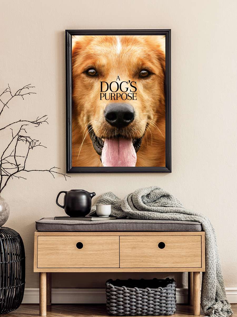 Can Dostum - A Dog's Purpose Film Tablo Siyah Çerçeveli Film Poster Afiş Tablo