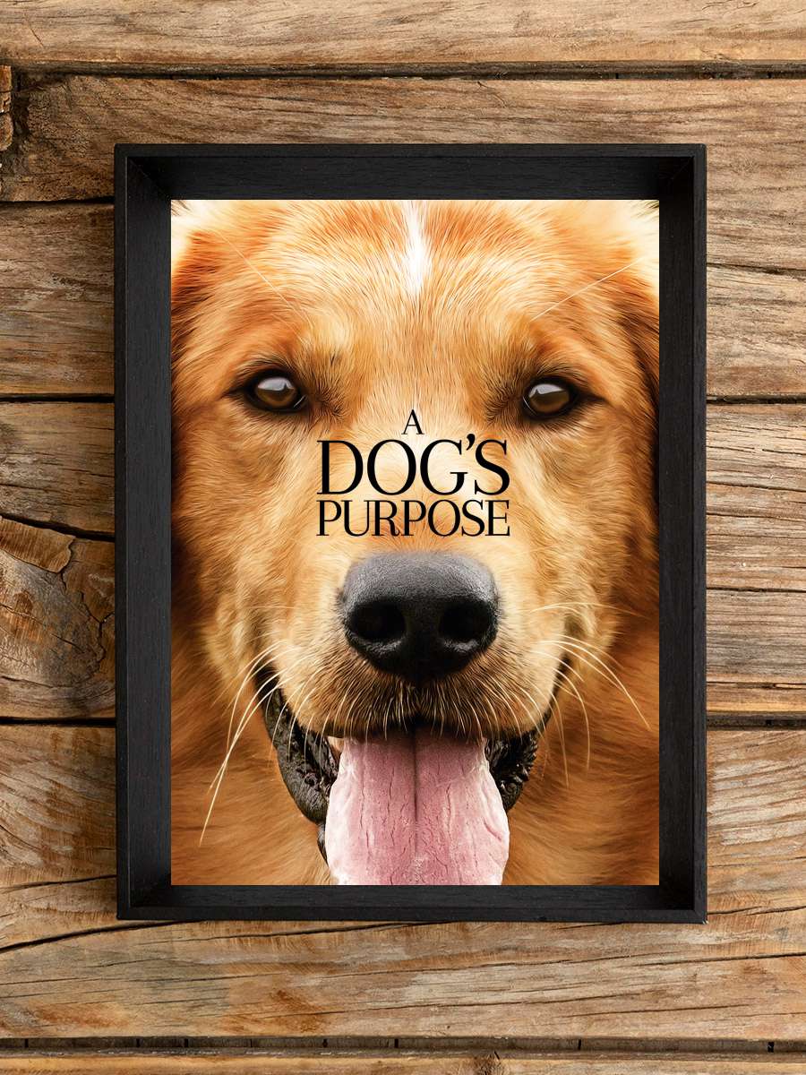 Can Dostum - A Dog's Purpose Film Tablo Siyah Çerçeveli Film Poster Afiş Tablo