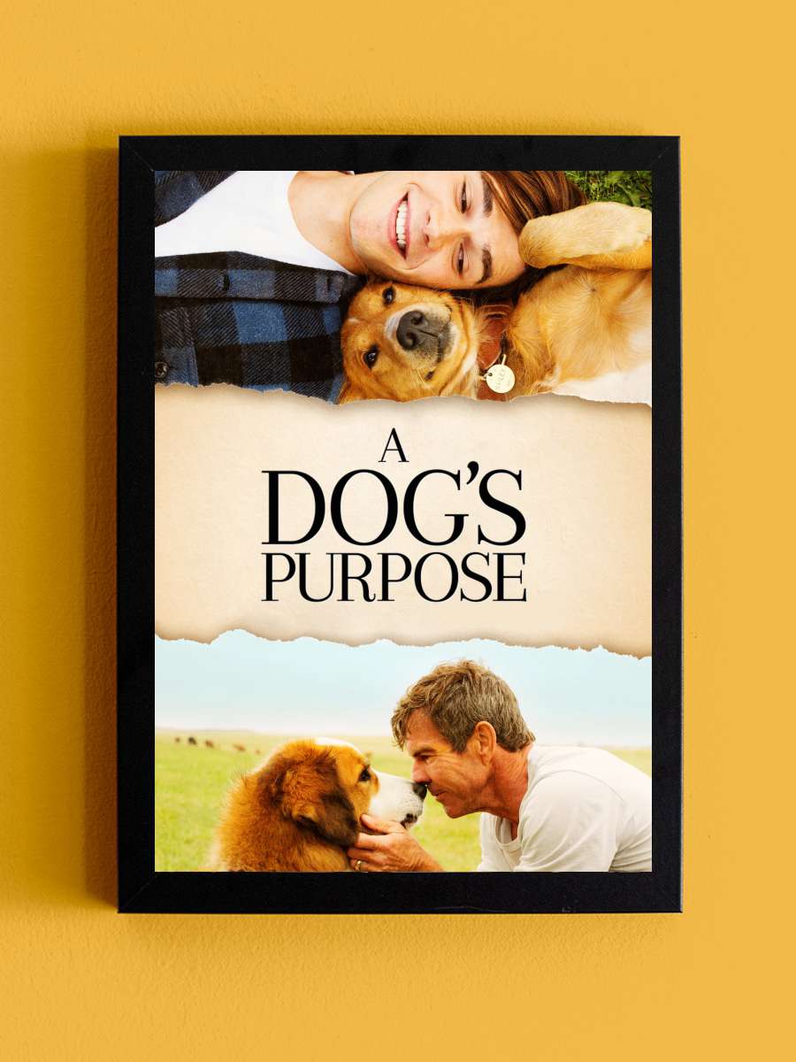 Can Dostum - A Dog's Purpose Film Tablo Siyah Çerçeveli Film Poster Afiş Tablo