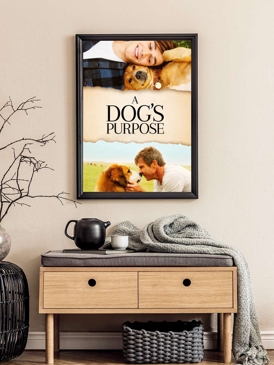 Can Dostum - A Dog's Purpose Film Tablo Siyah Çerçeveli Film Poster Afiş Tablo