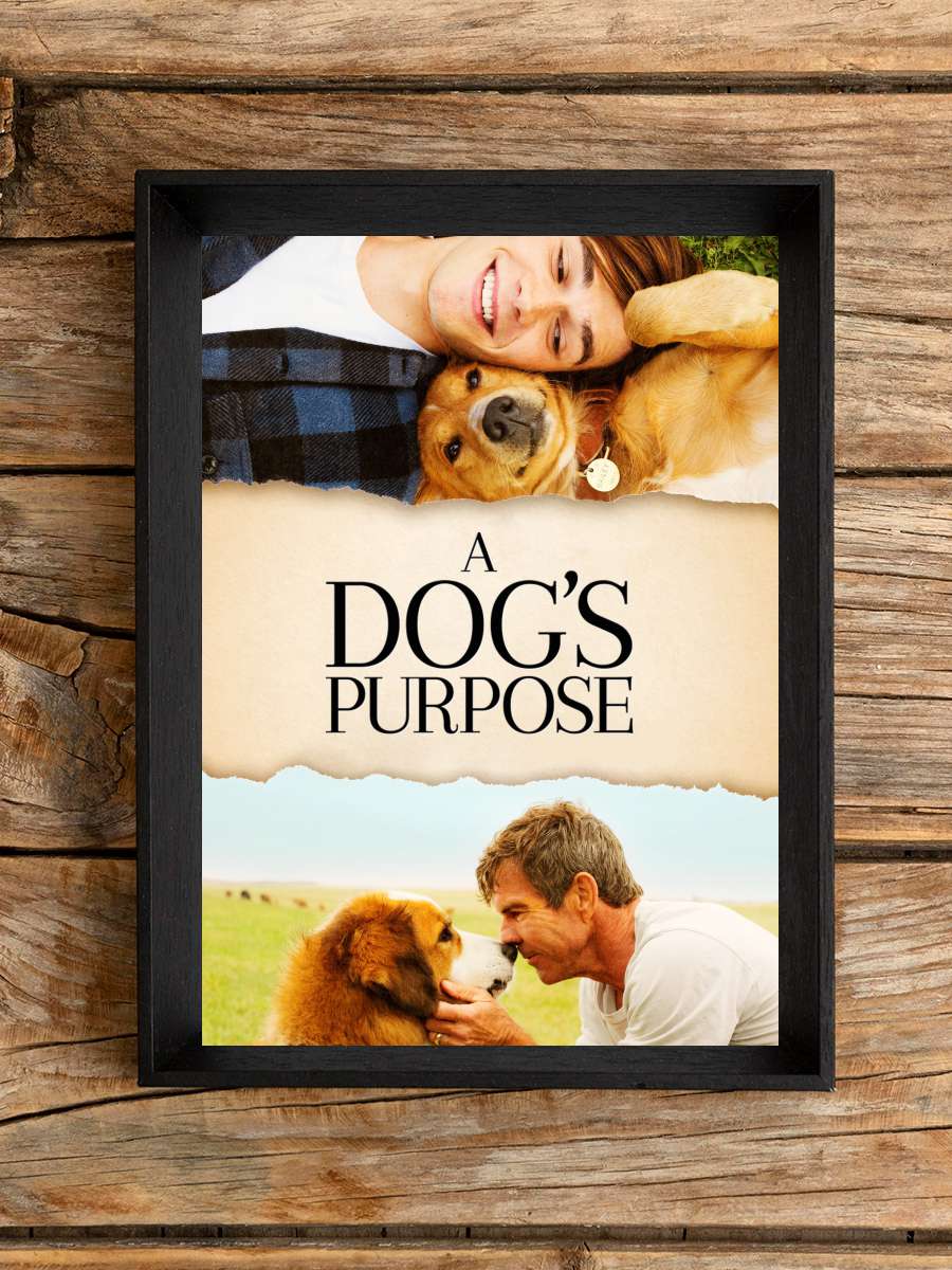 Can Dostum - A Dog's Purpose Film Tablo Siyah Çerçeveli Film Poster Afiş Tablo