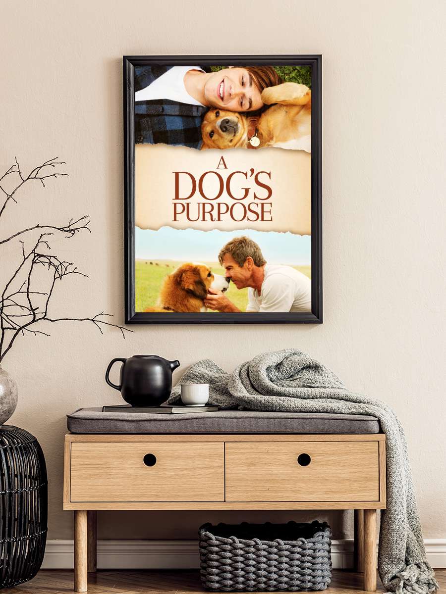 Can Dostum - A Dog's Purpose Film Tablo Siyah Çerçeveli Film Poster Afiş Tablo