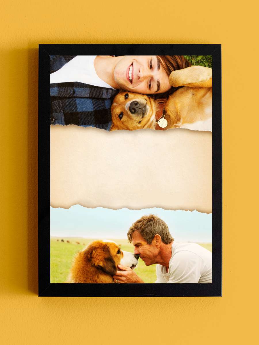 Can Dostum - A Dog's Purpose Film Tablo Siyah Çerçeveli Film Poster Afiş Tablo