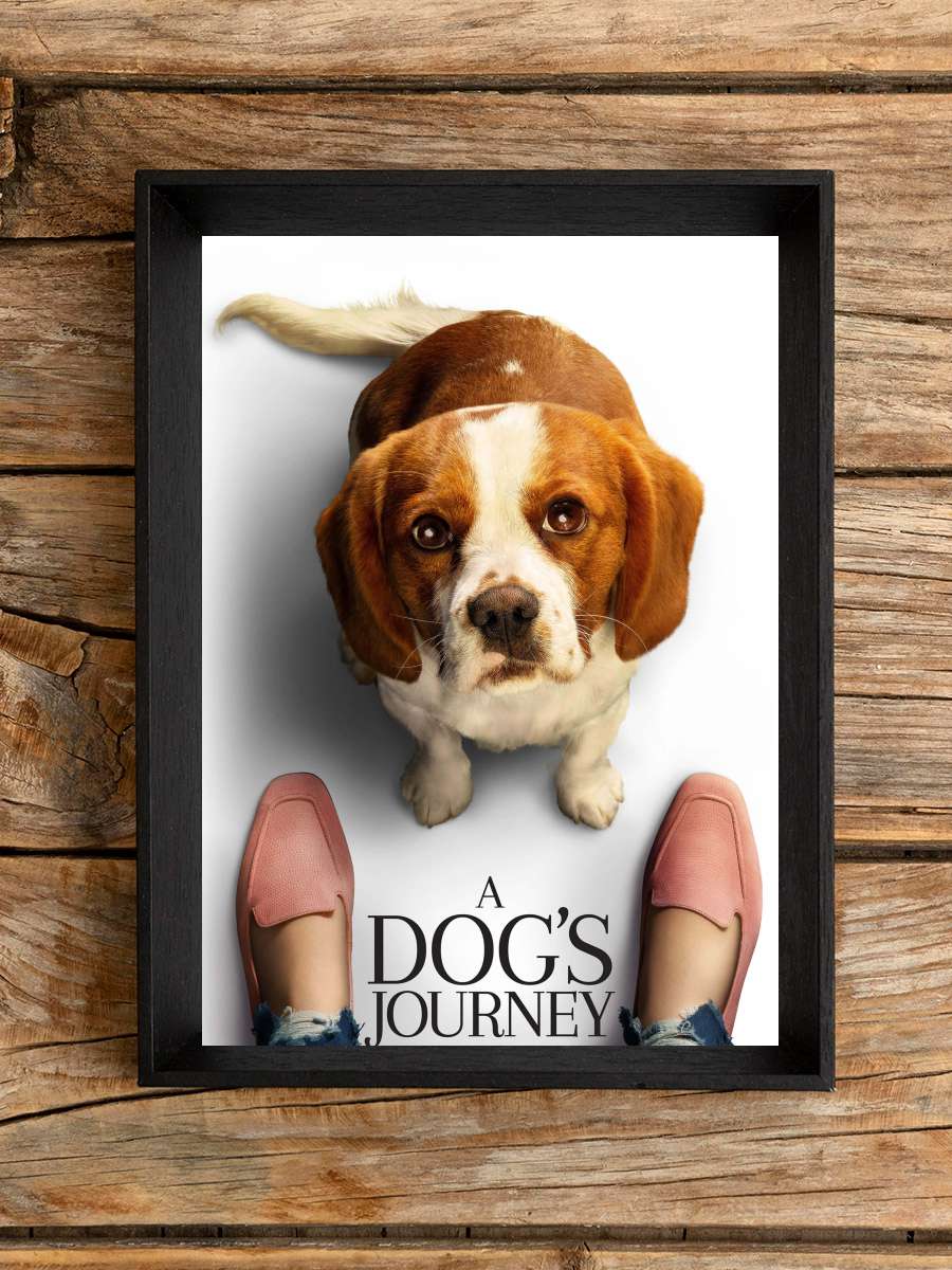 Dostumun Yolculuğu - A Dog's Journey Film Tablo Siyah Çerçeveli Film Poster Afiş Tablo