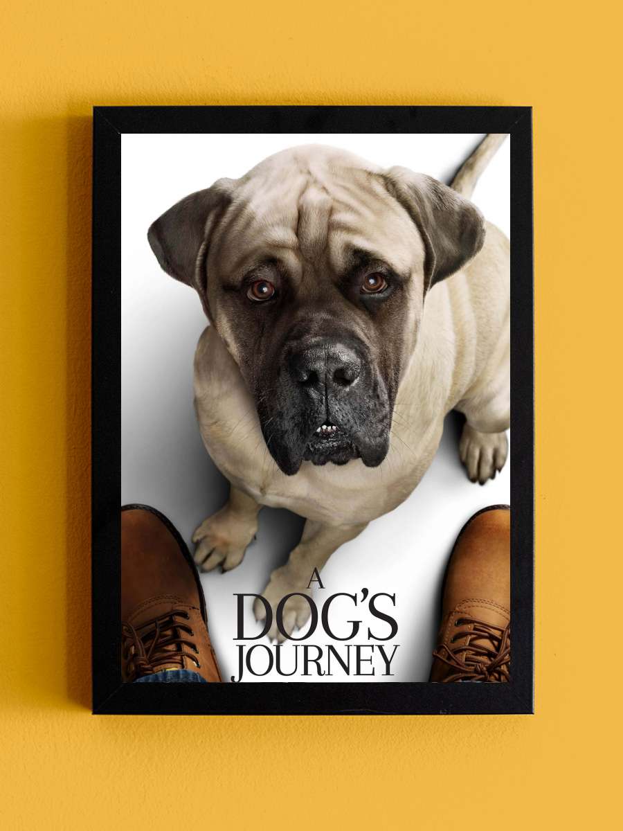 Dostumun Yolculuğu - A Dog's Journey Film Tablo Siyah Çerçeveli Film Poster Afiş Tablo