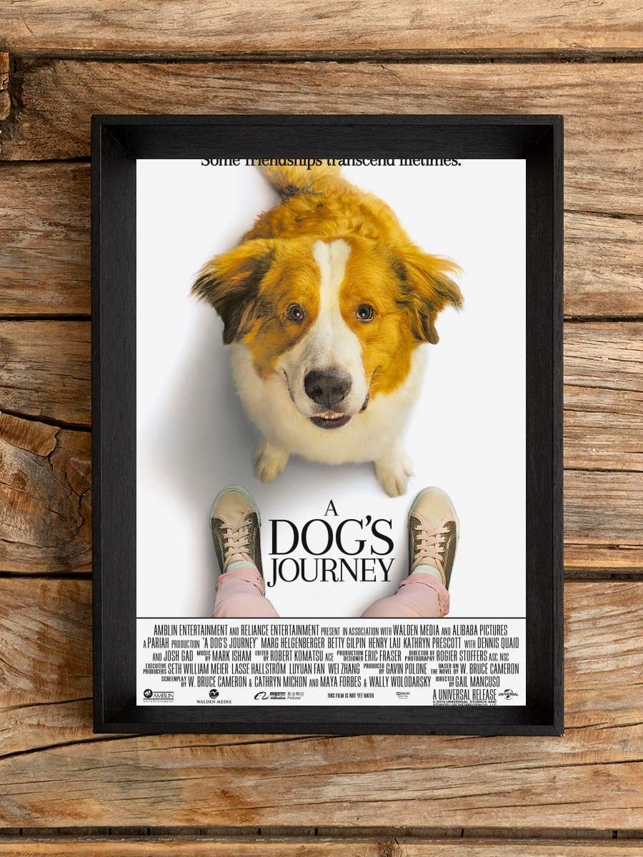 Dostumun Yolculuğu - A Dog's Journey Film Tablo Siyah Çerçeveli Film Poster Afiş Tablo