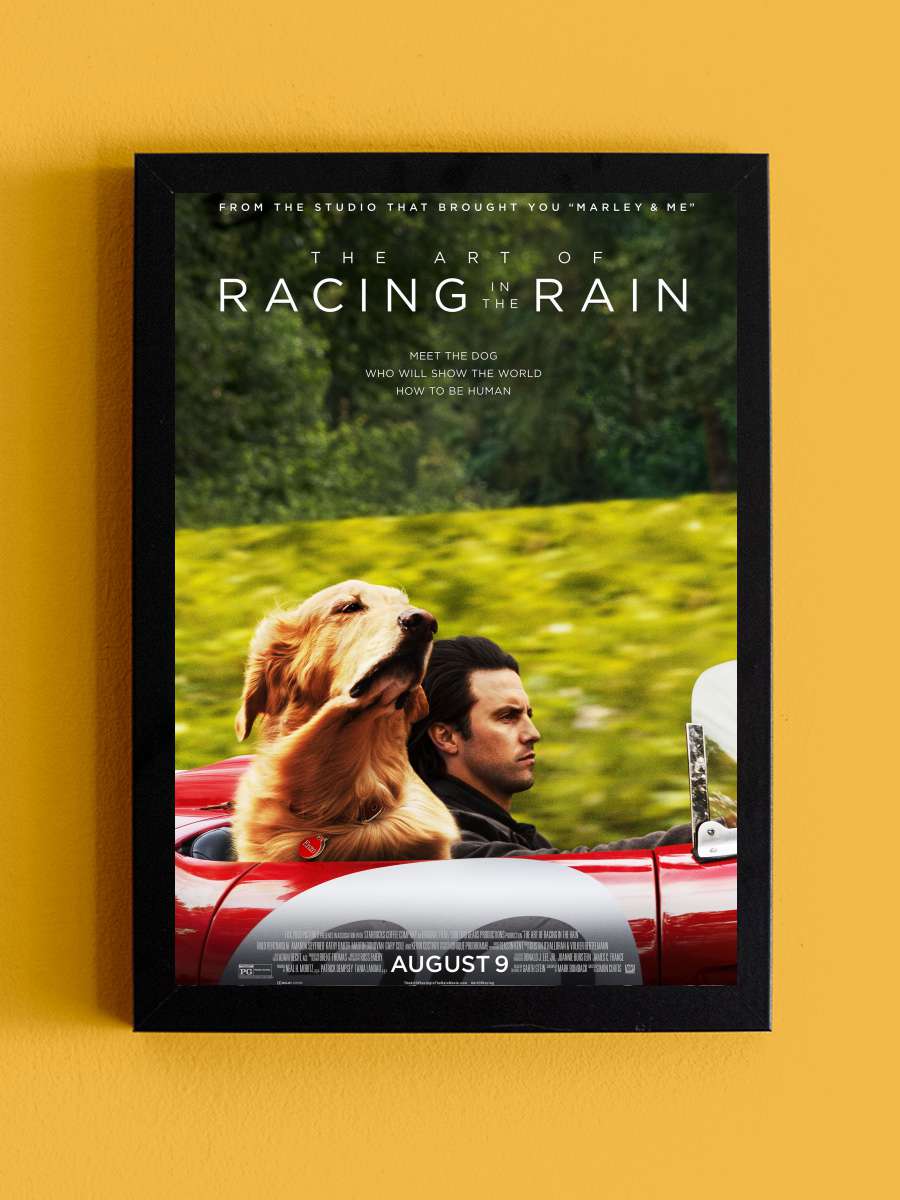 Enzo: Yağmurda Yarış Sanatı - The Art of Racing in the Rain Film Tablo Siyah Çerçeveli Film Poster Afiş Tablo