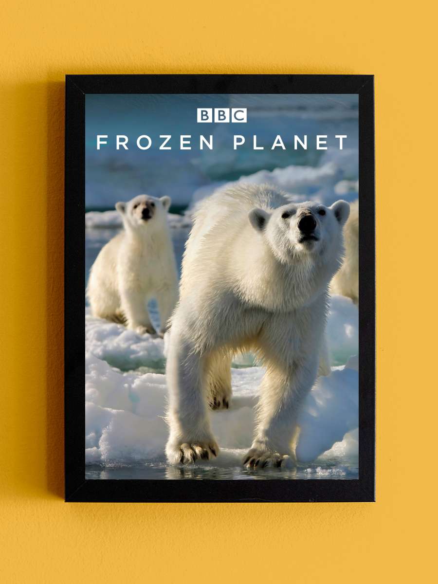 Kutuplar Atlası - Frozen Planet Dizi Tablo Siyah Çerçeveli Dizi Poster Duvar Tablo