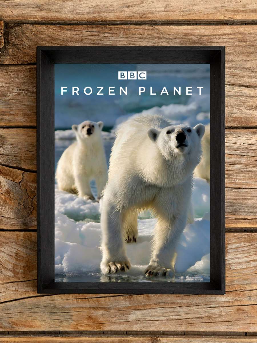 Kutuplar Atlası - Frozen Planet Dizi Tablo Siyah Çerçeveli Dizi Poster Duvar Tablo