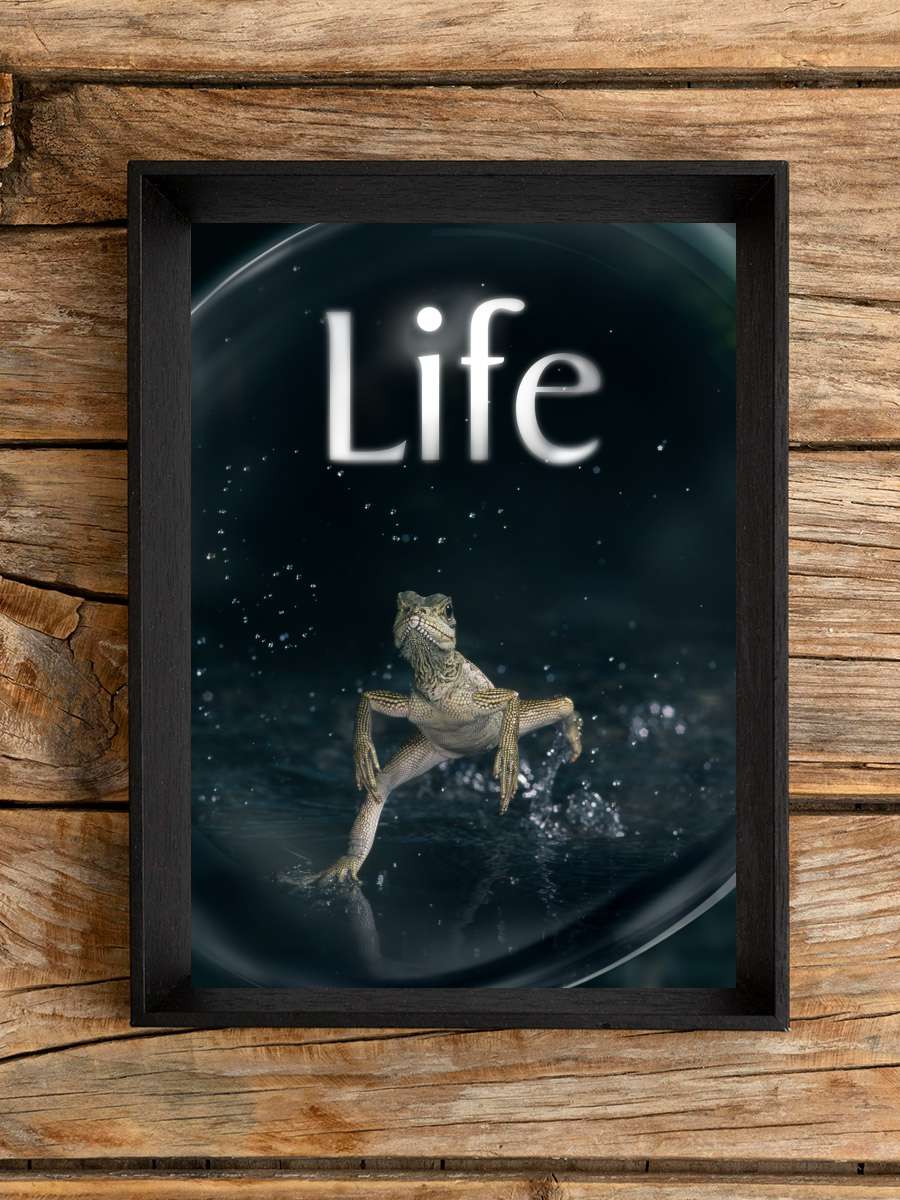 Life Dizi Tablo Siyah Çerçeveli Dizi Poster Duvar Tablo