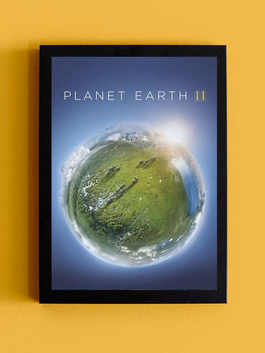 Planet Earth II Dizi Tablo Siyah Çerçeveli Dizi Poster Duvar Tablo