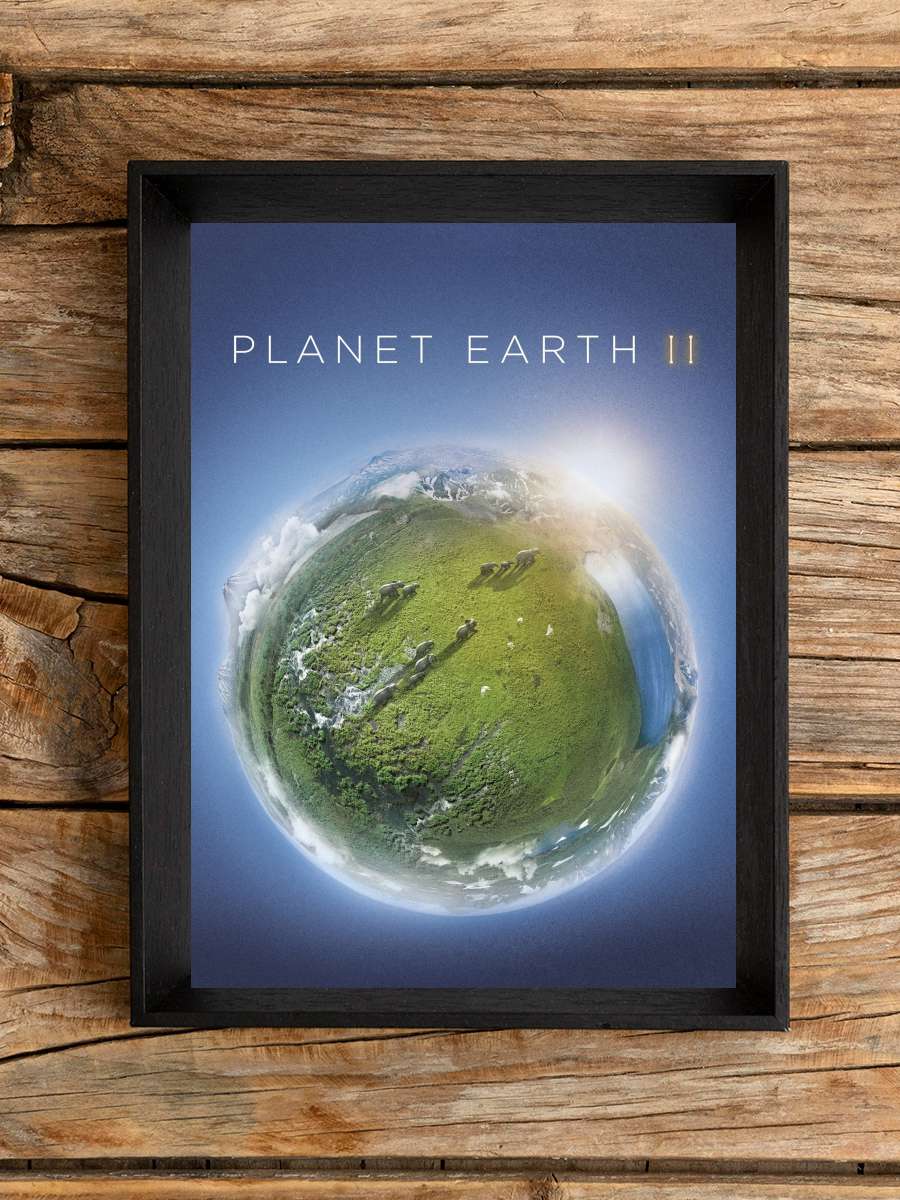 Planet Earth II Dizi Tablo Siyah Çerçeveli Dizi Poster Duvar Tablo