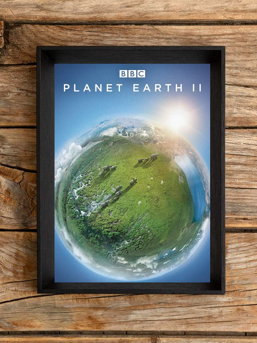 Planet Earth II Dizi Tablo Siyah Çerçeveli Dizi Poster Duvar Tablo