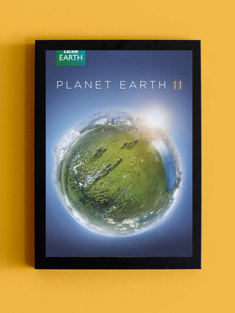 Planet Earth II Dizi Tablo Siyah Çerçeveli Dizi Poster Duvar Tablo