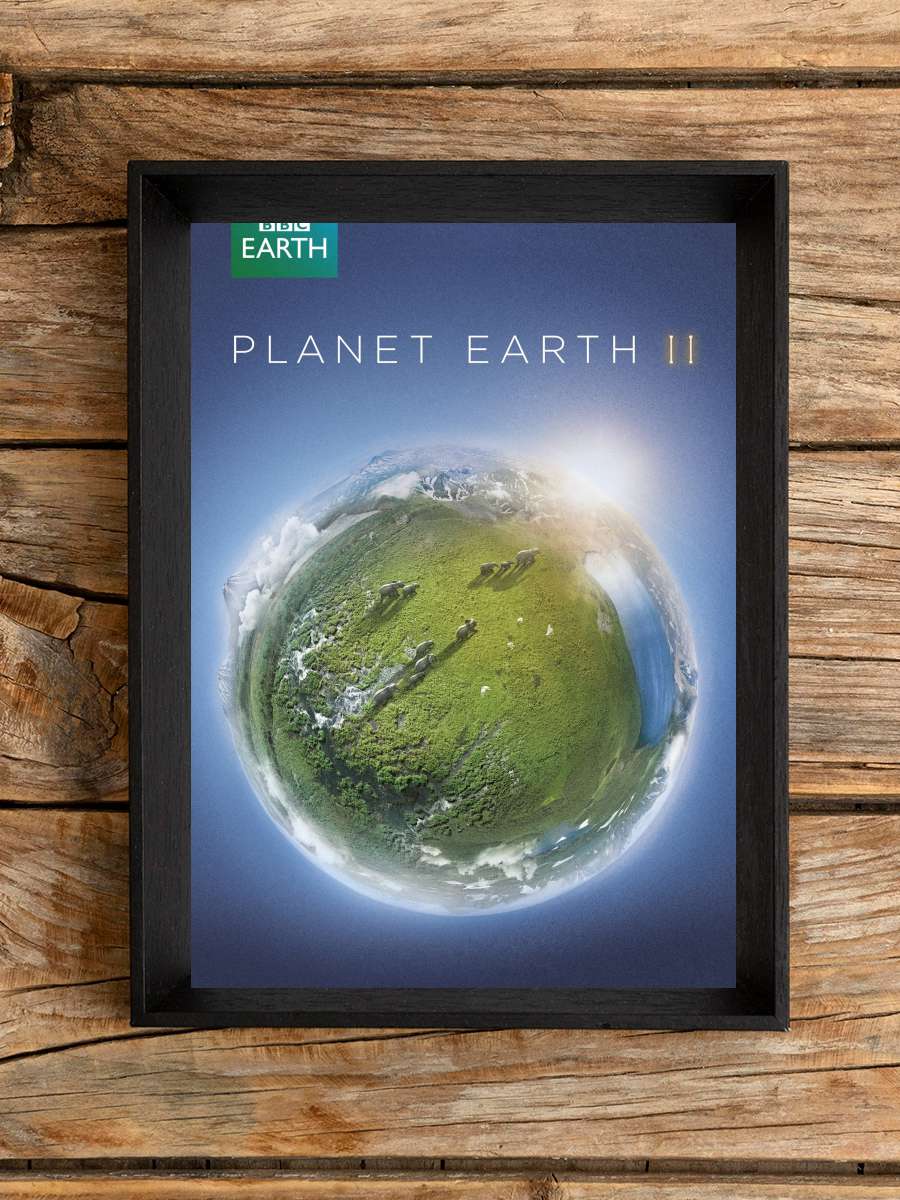 Planet Earth II Dizi Tablo Siyah Çerçeveli Dizi Poster Duvar Tablo