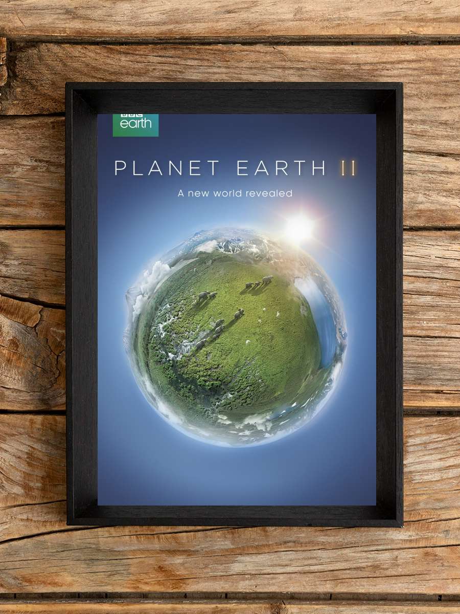 Planet Earth II Dizi Tablo Siyah Çerçeveli Dizi Poster Duvar Tablo