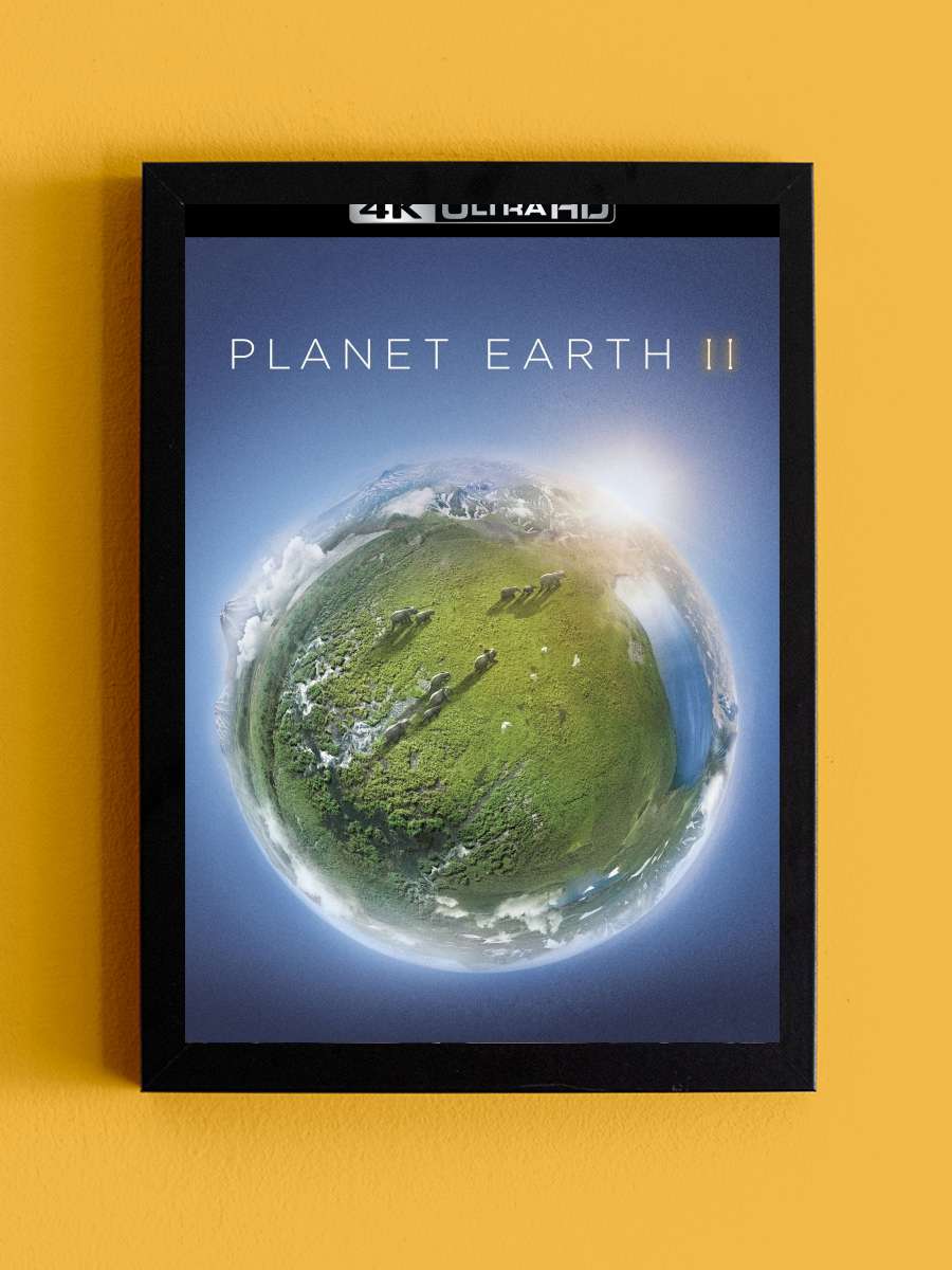 Planet Earth II Dizi Tablo Siyah Çerçeveli Dizi Poster Duvar Tablo