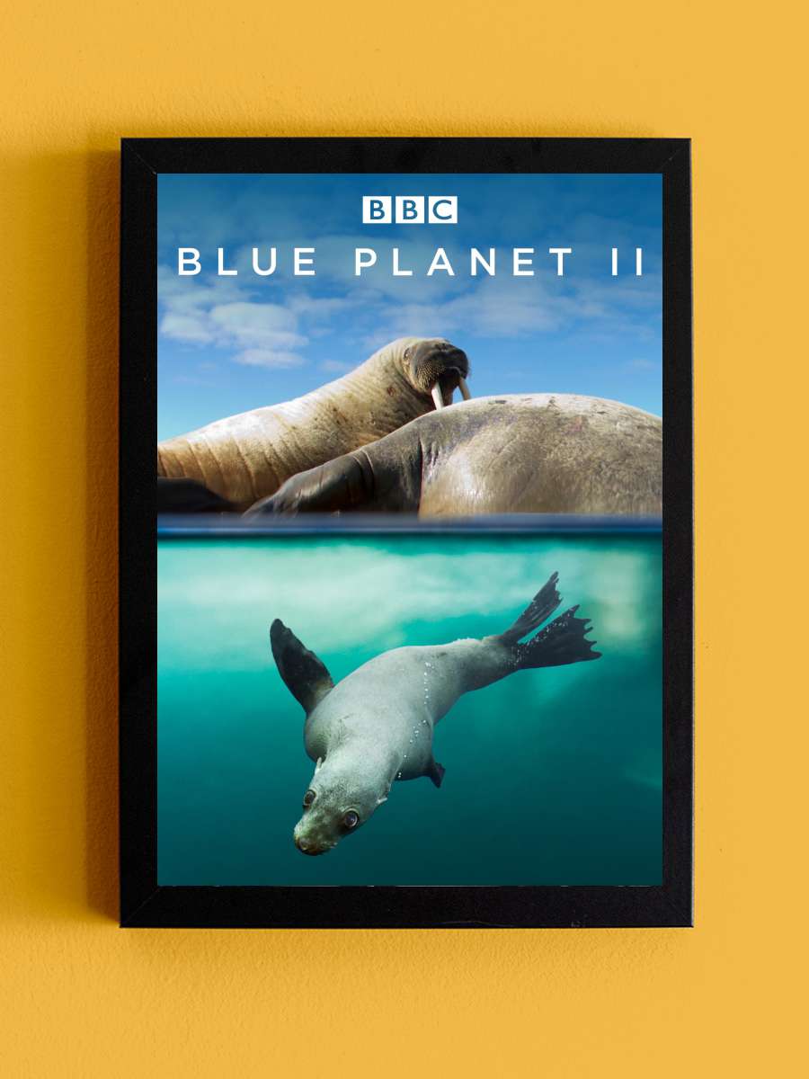 Blue Planet II Dizi Tablo Siyah Çerçeveli Dizi Poster Duvar Tablo