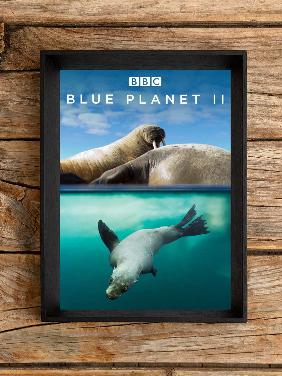 Blue Planet II Dizi Tablo Siyah Çerçeveli Dizi Poster Duvar Tablo