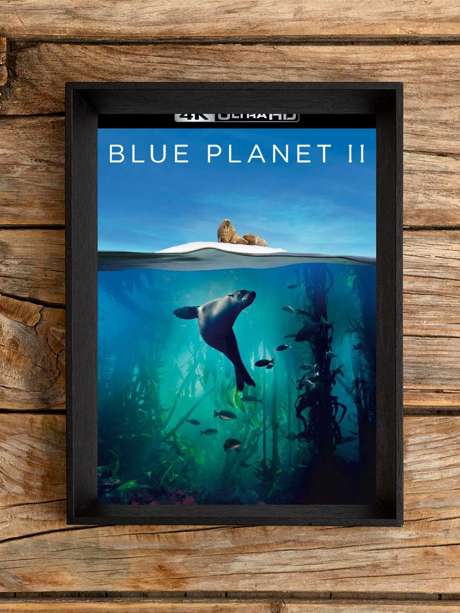 Blue Planet II Dizi Tablo Siyah Çerçeveli Dizi Poster Duvar Tablo