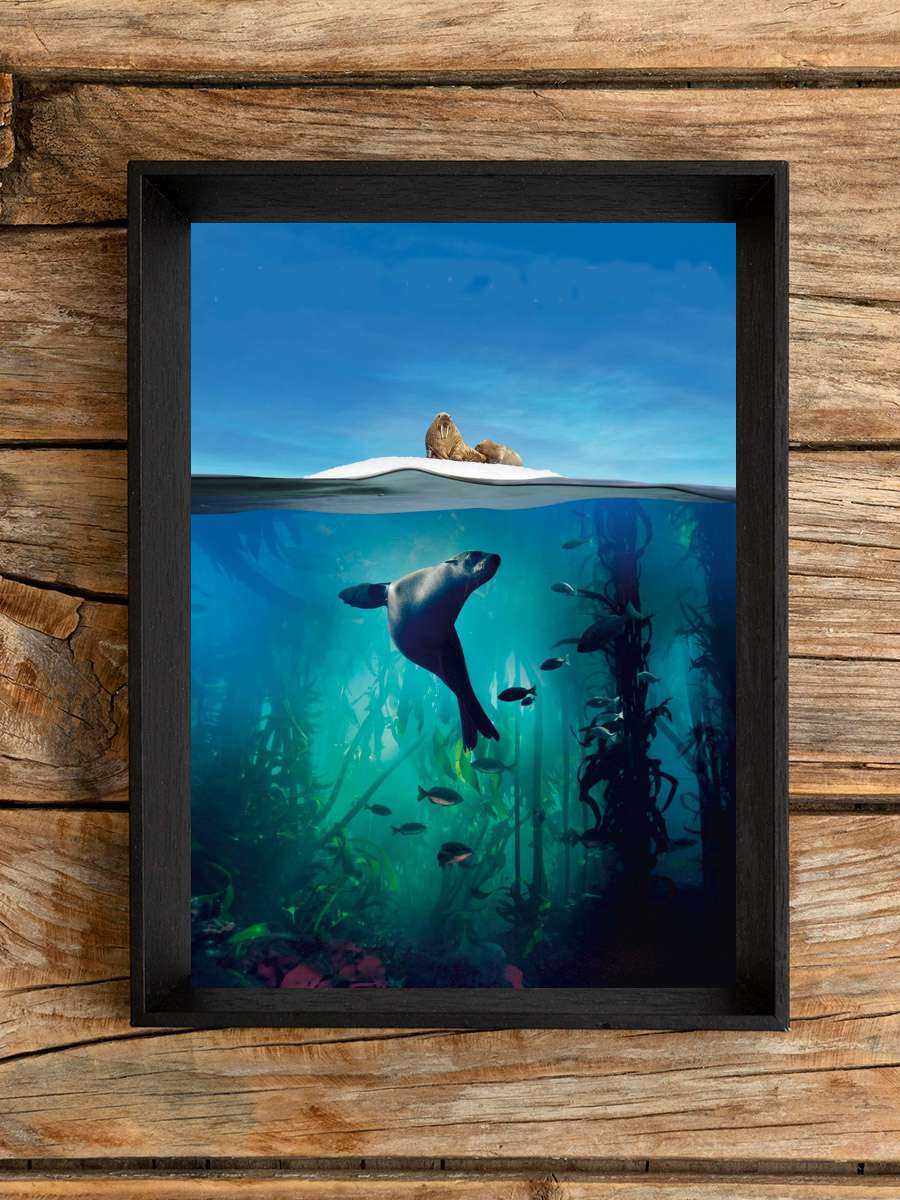 Blue Planet II Dizi Tablo Siyah Çerçeveli Dizi Poster Duvar Tablo