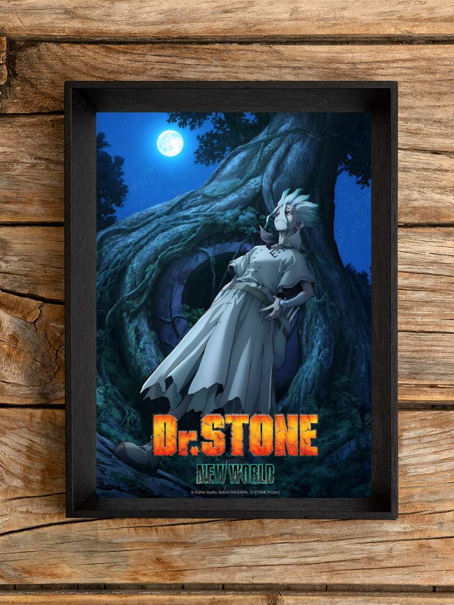 Dr. Stone - Dr.STONE Dizi Tablo Siyah Çerçeveli Dizi Poster Duvar Tablo