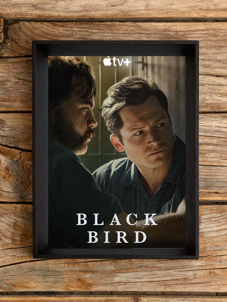 Black Bird Dizi Tablo Siyah Çerçeveli Dizi Poster Duvar Tablo