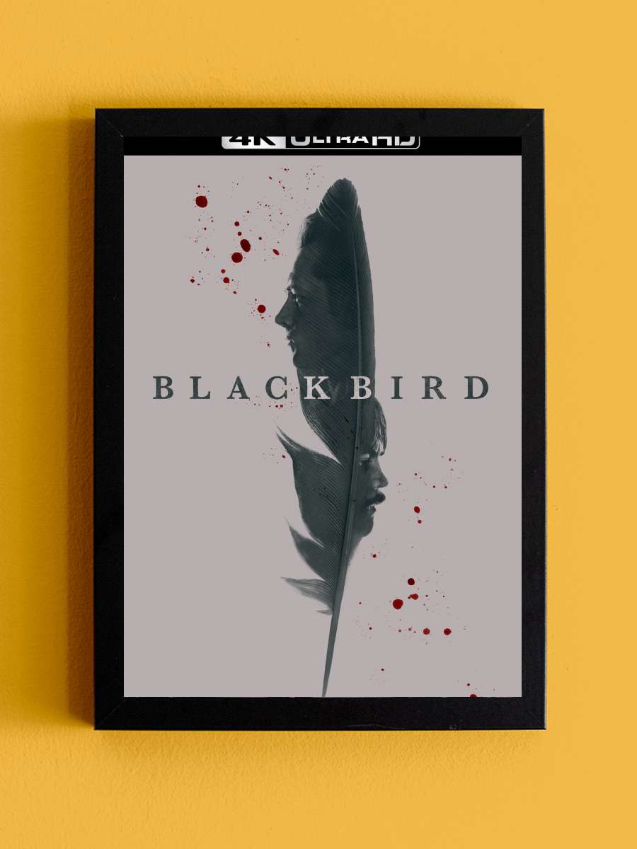 Black Bird Dizi Tablo Siyah Çerçeveli Dizi Poster Duvar Tablo