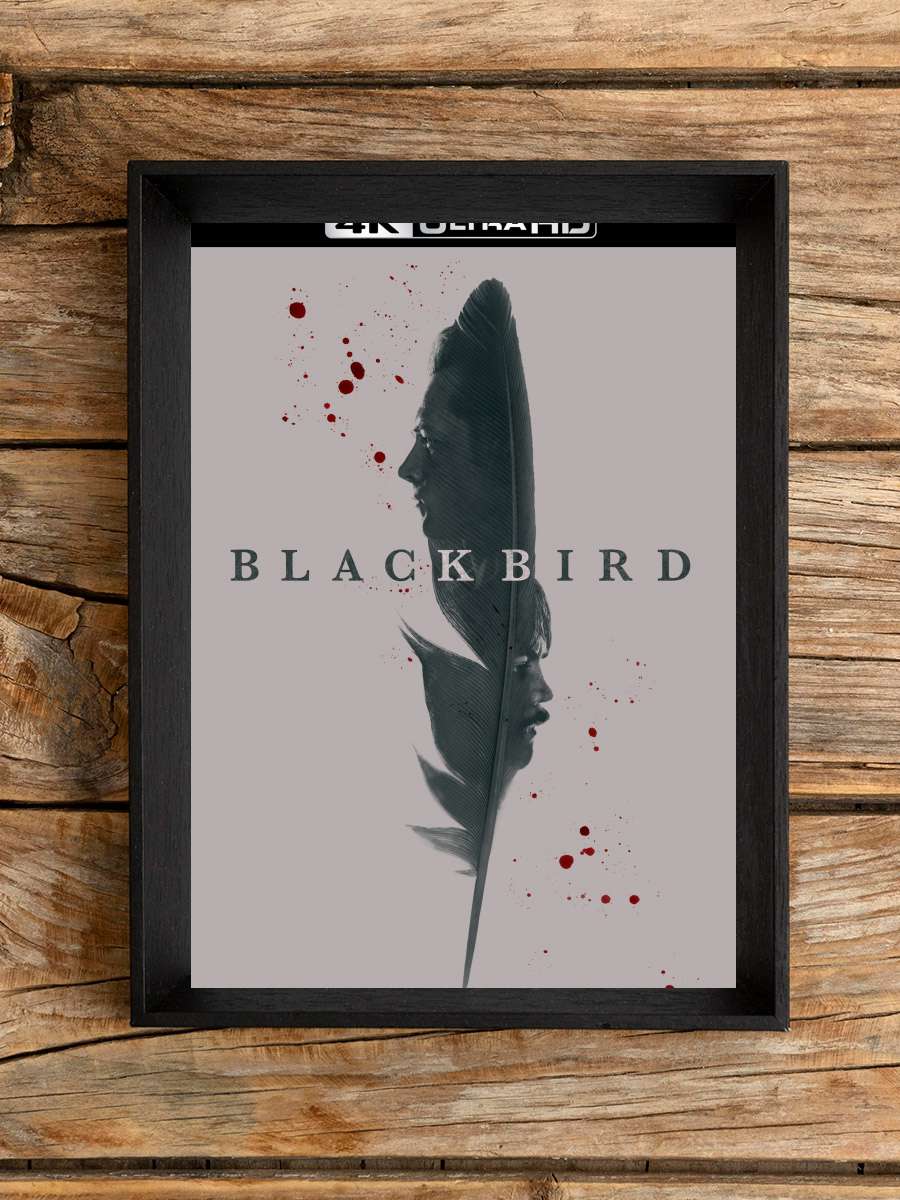 Black Bird Dizi Tablo Siyah Çerçeveli Dizi Poster Duvar Tablo