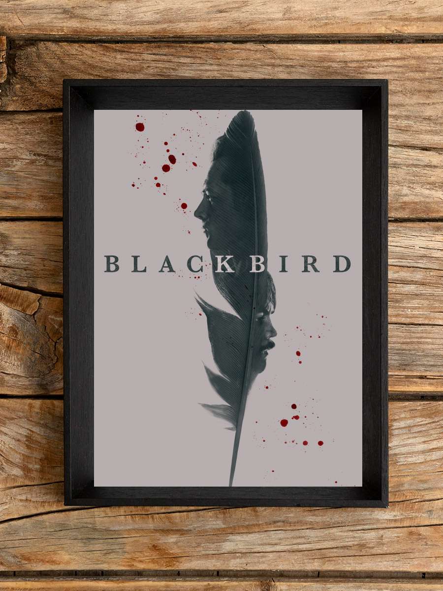 Black Bird Dizi Tablo Siyah Çerçeveli Dizi Poster Duvar Tablo