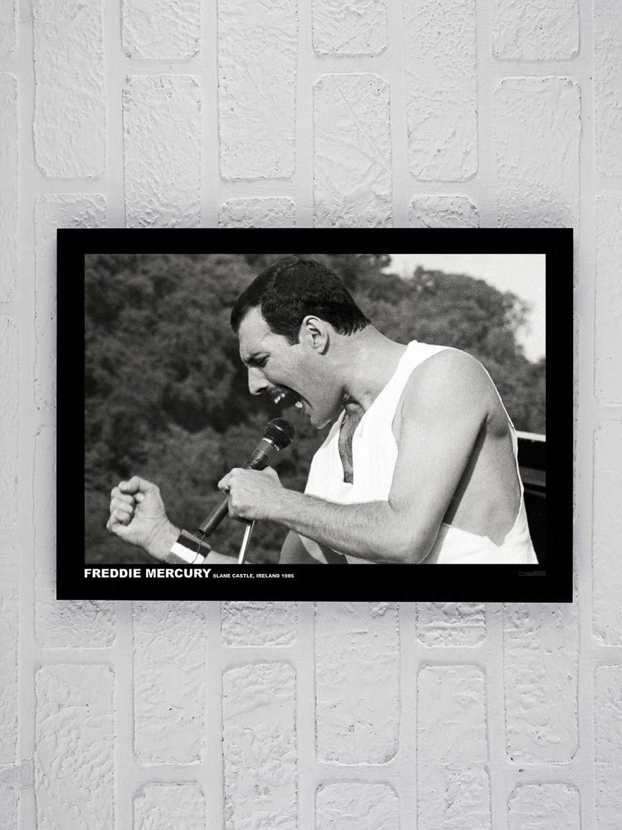 Freddie Mercury - Slane castle, Ireland 1996 Müzik Poster Tablo Siyah Çerçeveli Yüksek Kalite Müzik Duvar Tablo