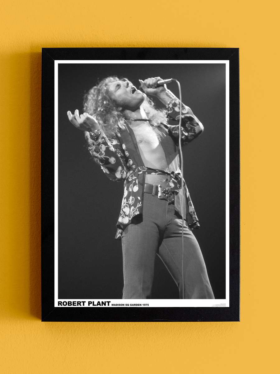 Led Zeppelin - Robert Plant March 1975 (colour) Müzik Poster Tablo Siyah Çerçeveli Yüksek Kalite Müzik Duvar Tablo