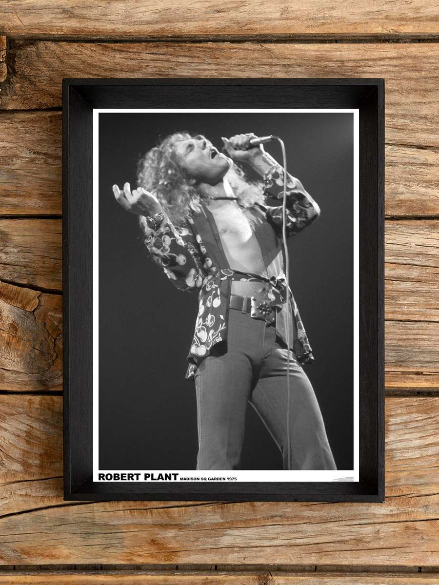 Led Zeppelin - Robert Plant March 1975 (colour) Müzik Poster Tablo Siyah Çerçeveli Yüksek Kalite Müzik Duvar Tablo