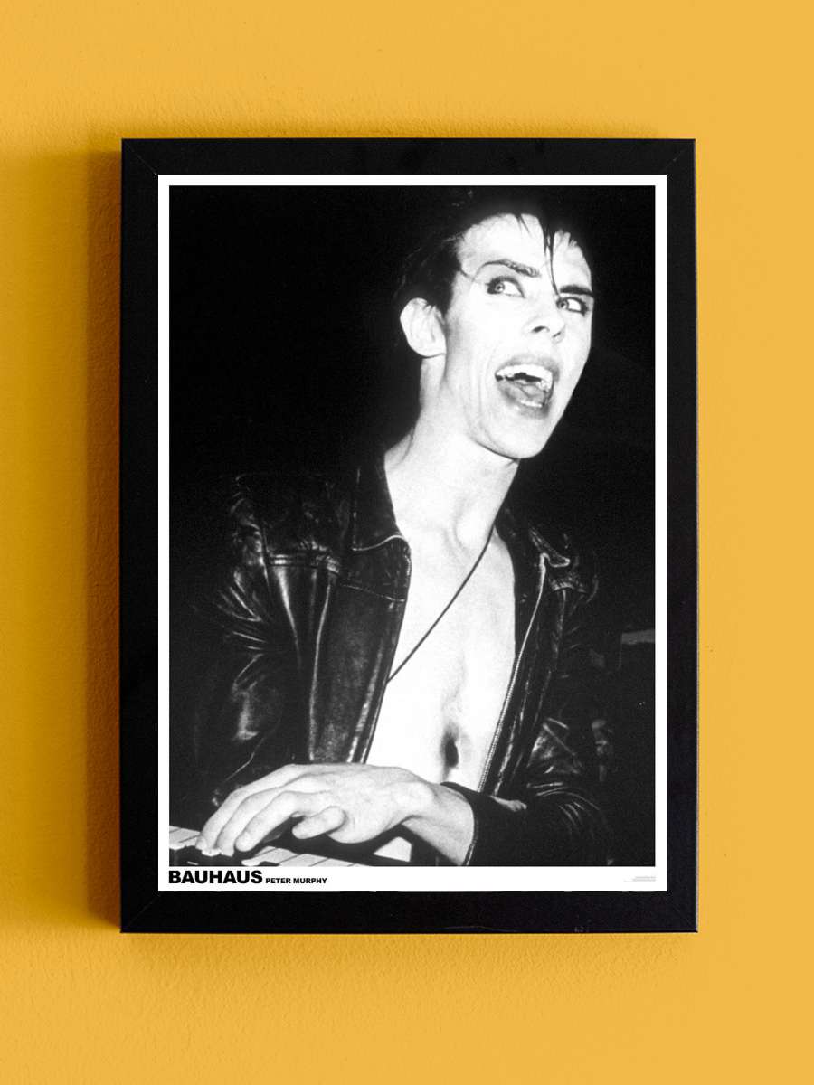 Peter Murphy of Bauhaus Müzik Poster Tablo Siyah Çerçeveli Yüksek Kalite Müzik Duvar Tablo