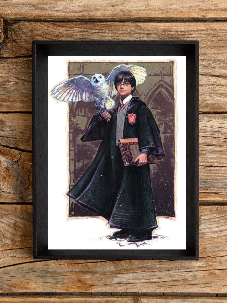 Harry Potter with Hedvig - Art Film Poster Tablo Siyah Çerçeveli Yüksek Kalite Film Duvar Tablo