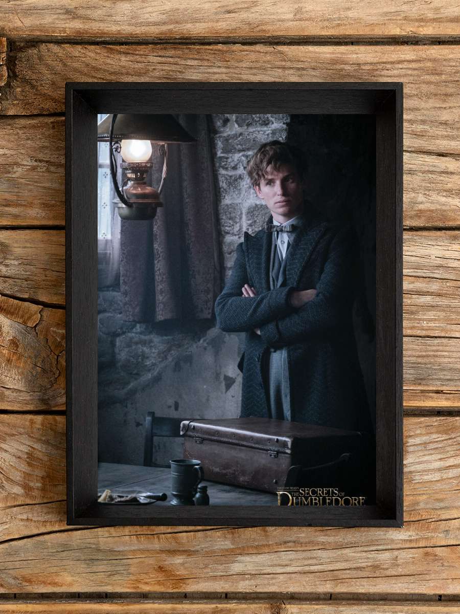 Fantastic Beasts - Newt… Newt Scamander Film Poster Tablo Siyah Çerçeveli Yüksek Kalite Film Duvar Tablo